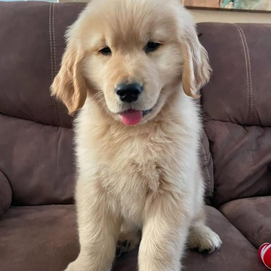 WhatsApp Image 2025-10-28 at 10.38.21 AM